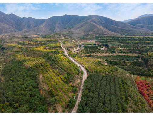 國(guó)內(nèi)園林綠化苗木產(chǎn)業(yè)哪家強(qiáng)？附花木區(qū)域分布說明